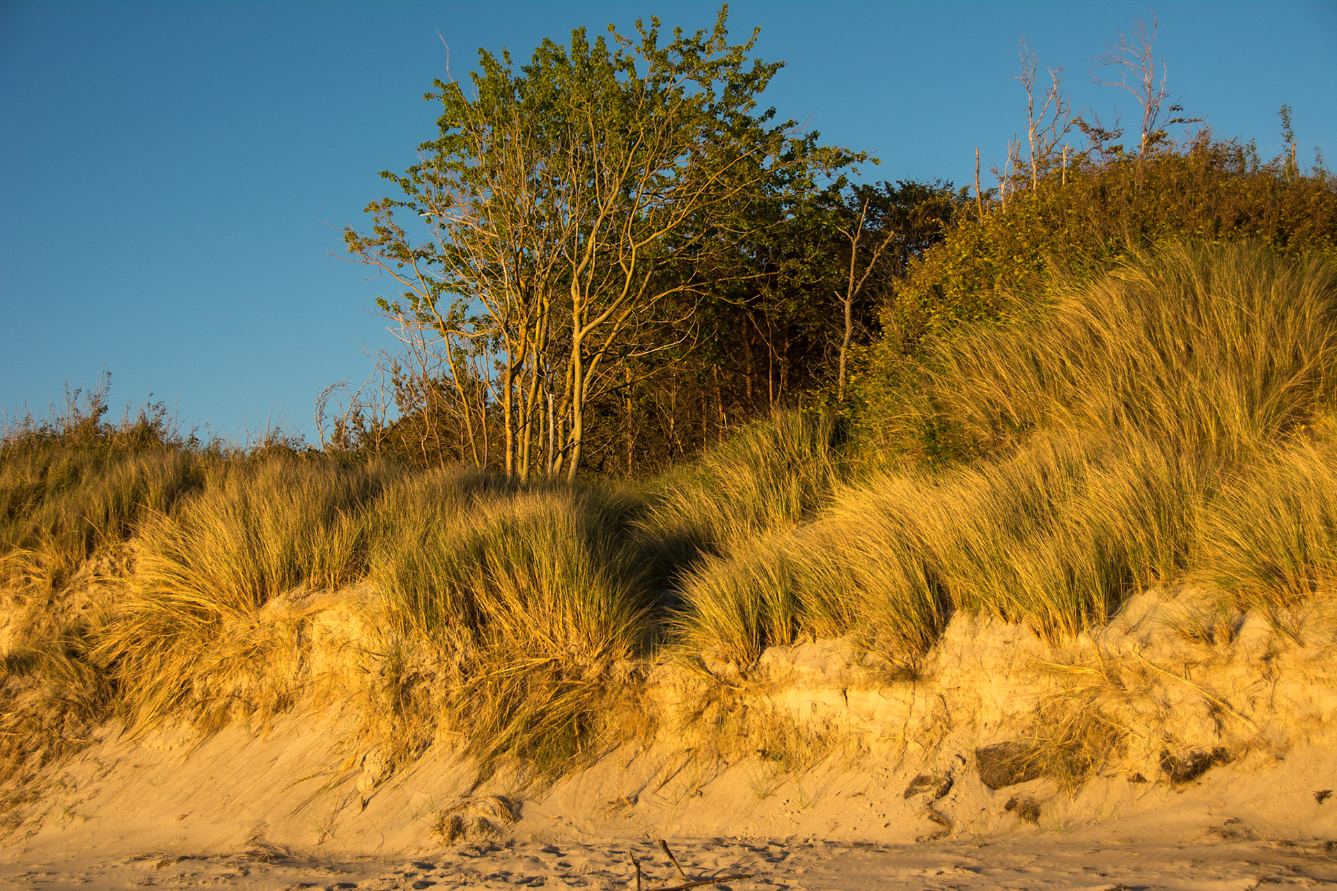 Abendsonne Am Strand