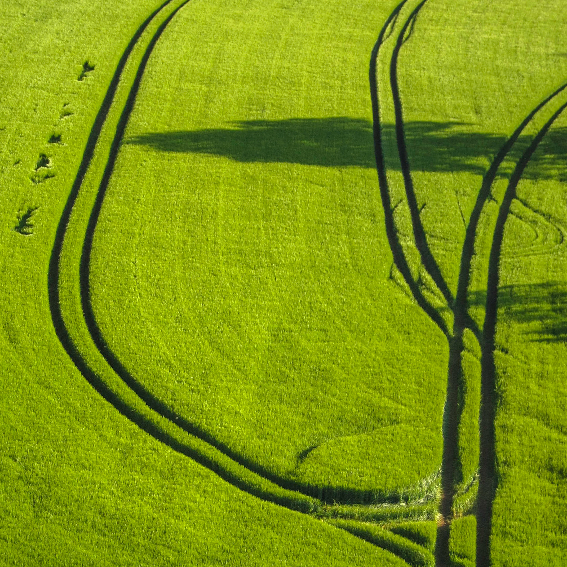 Ausflug am Abend: Blick vom Känzele ins Donautal