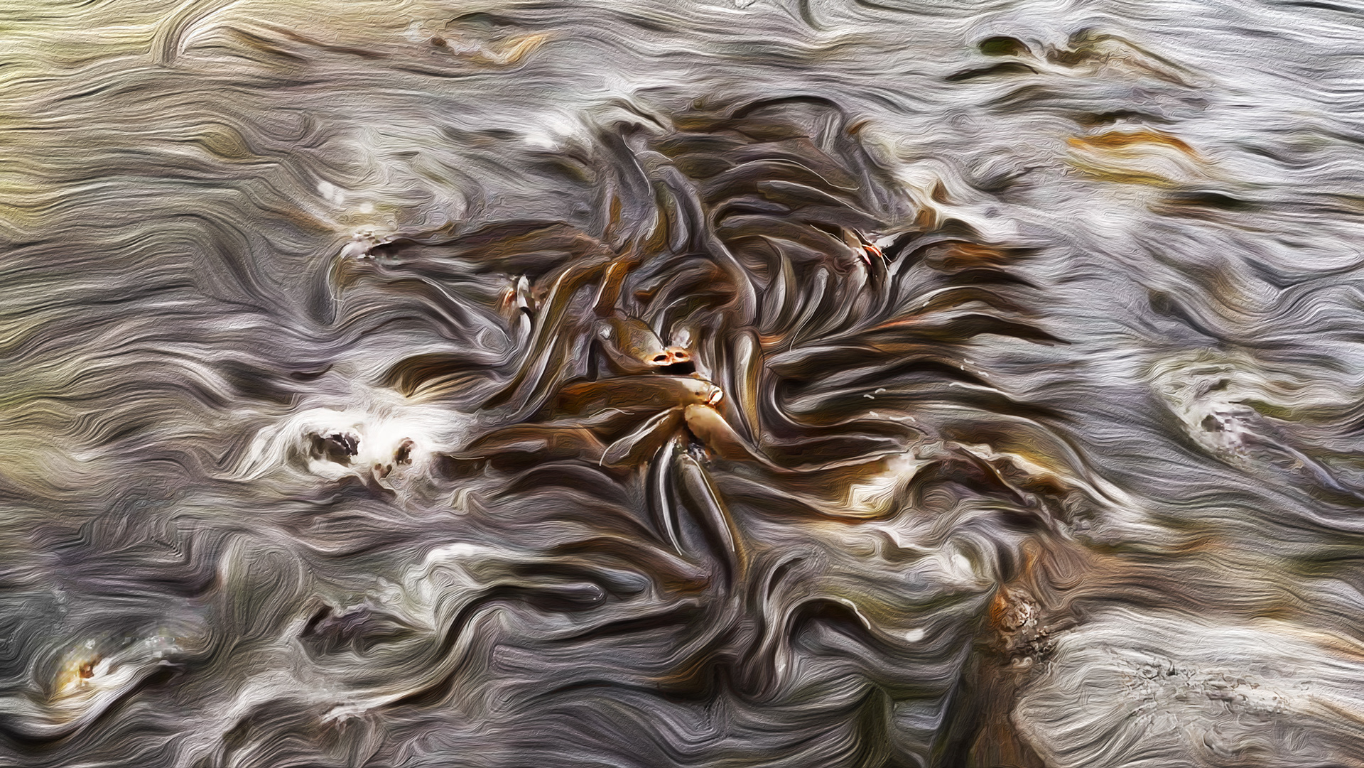 Digital Painting titled Serpent Swarm, capturing koi fish struggling for food. from the Gods and Monsters series by visual artist Richard Rosenbaum