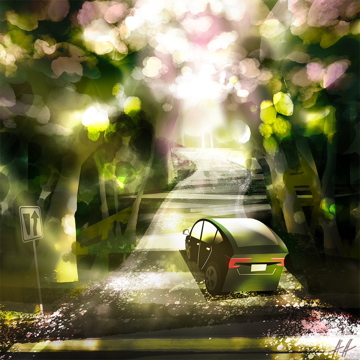 The garden road