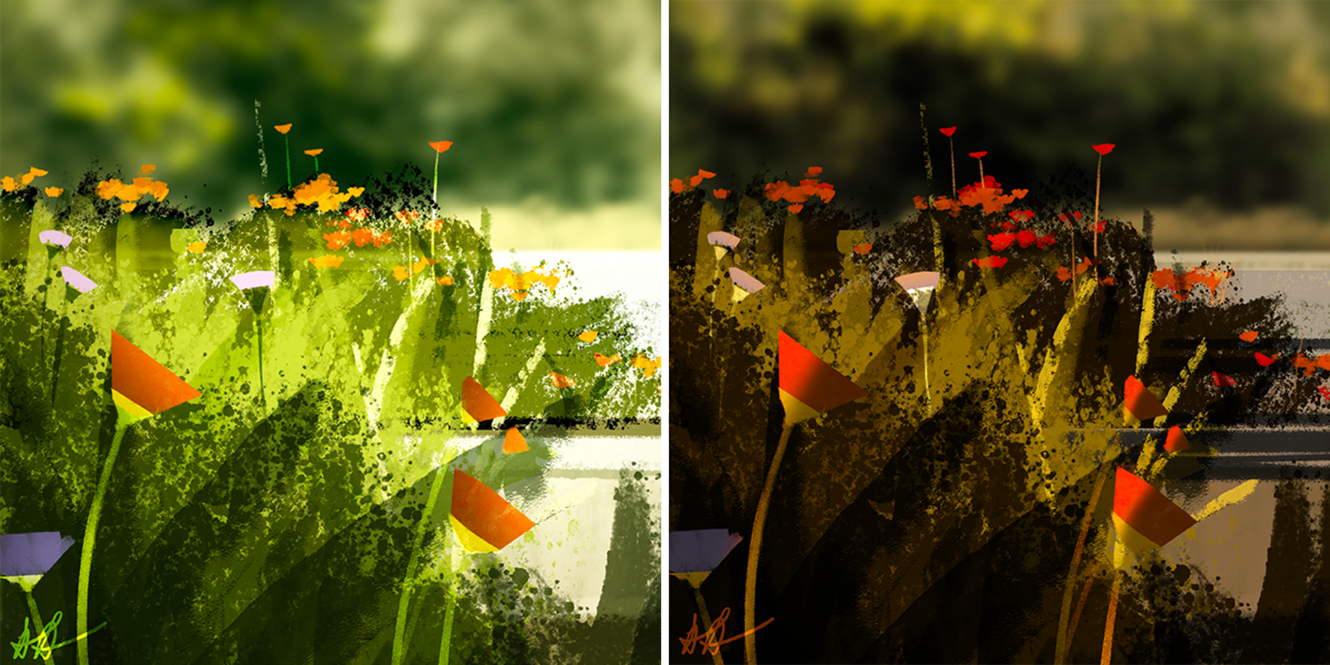 A patch of bushes, 10:45am and 5:50pm