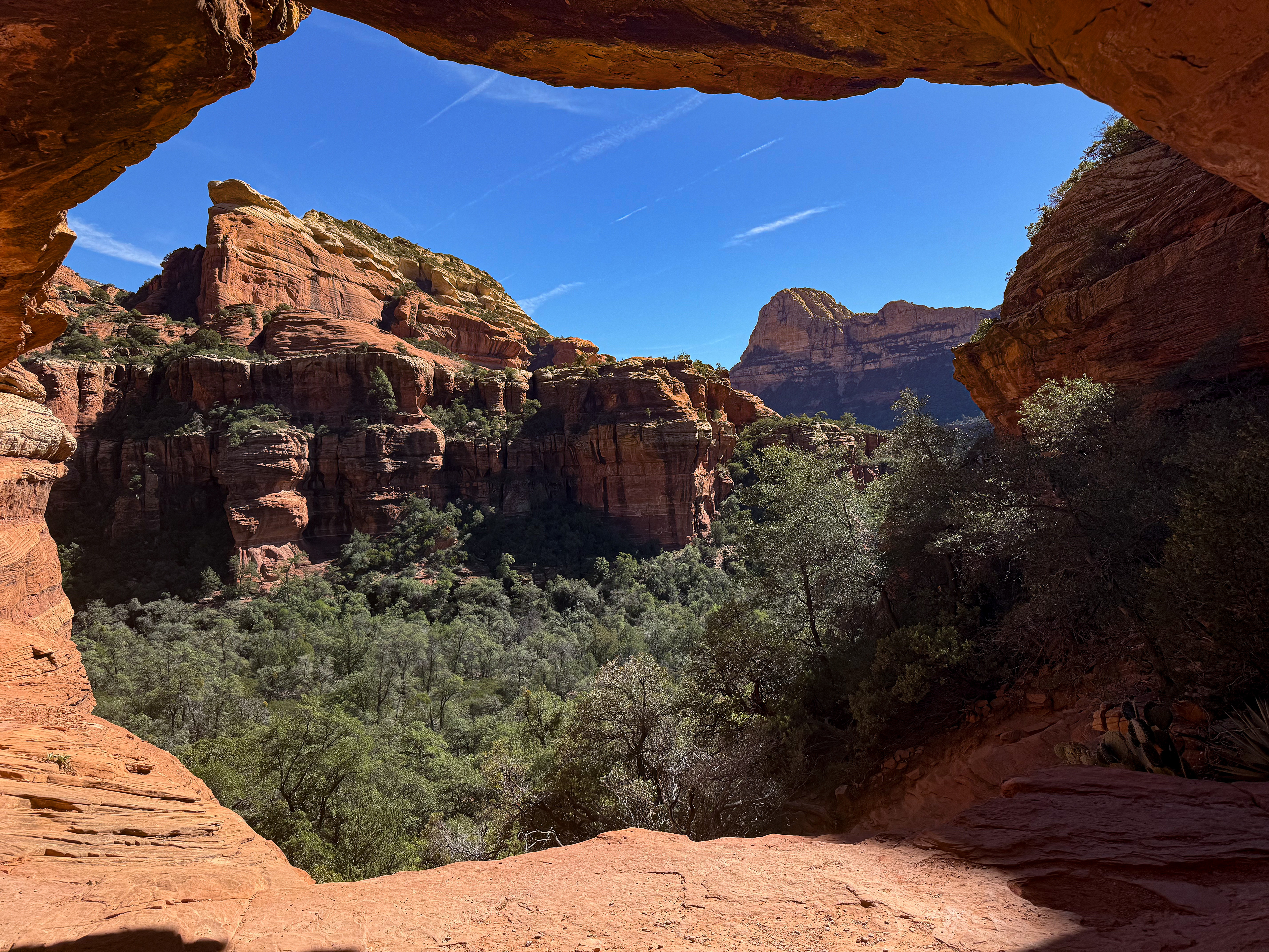 Self-Framed Masterpiece