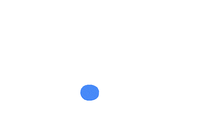 ohad chiko