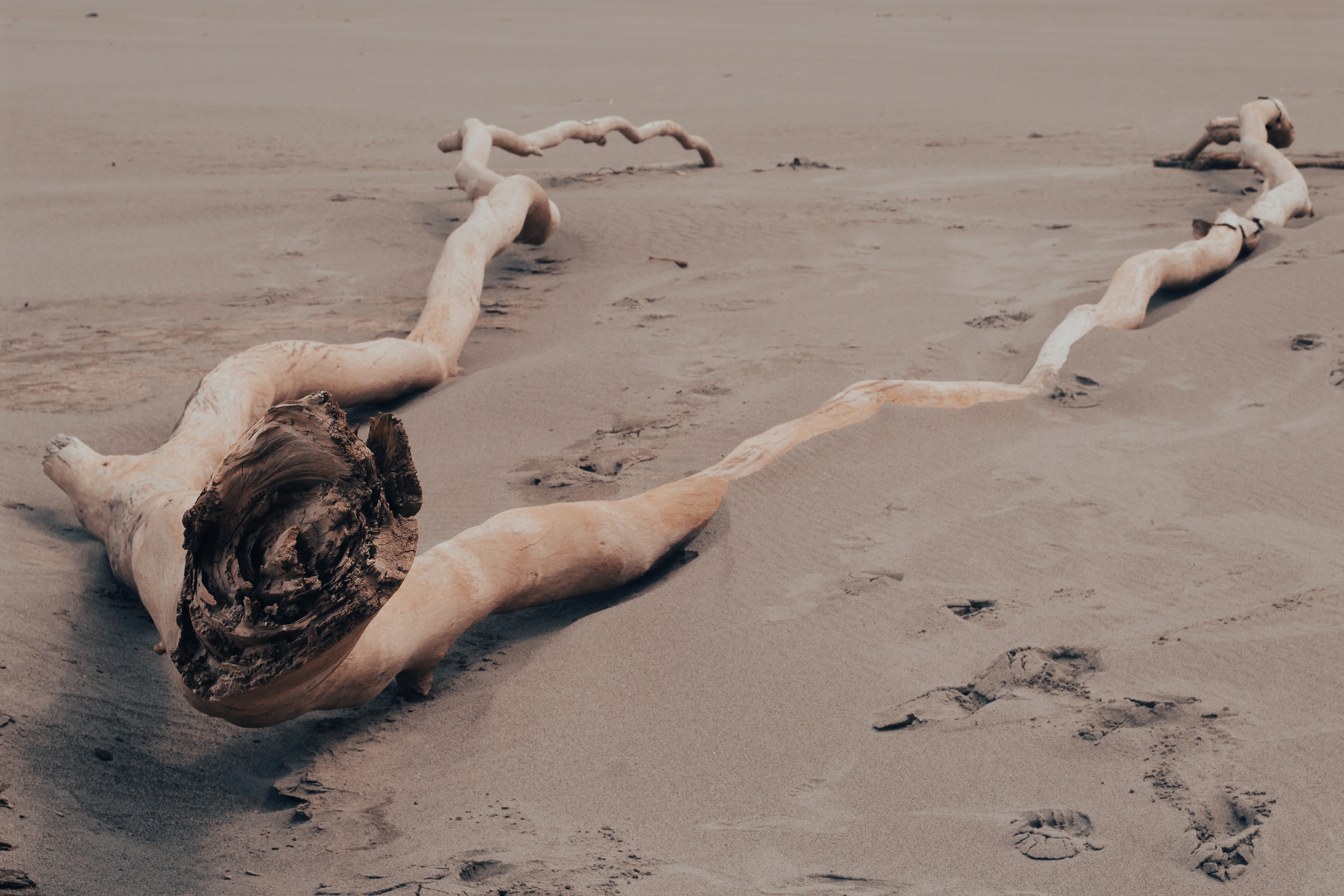 Marañón River, 2023