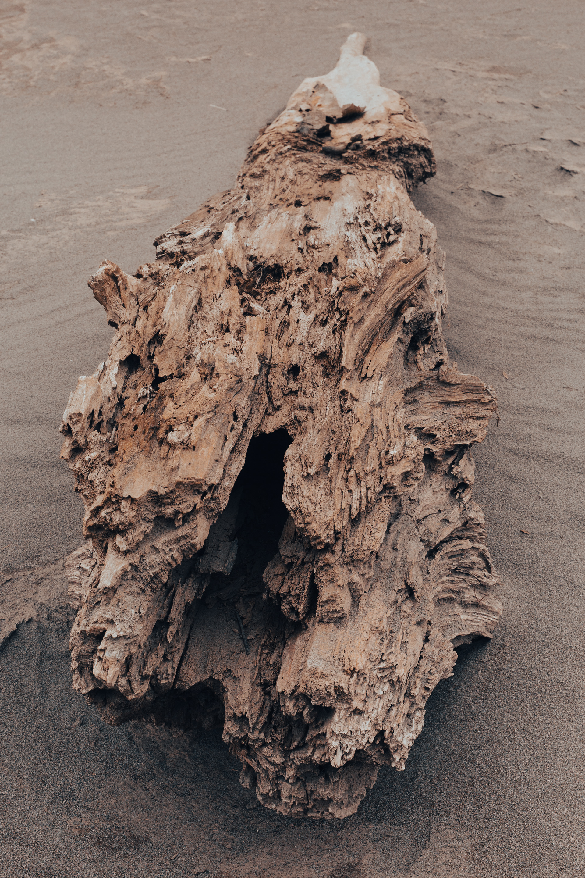 Marañón River, 2023