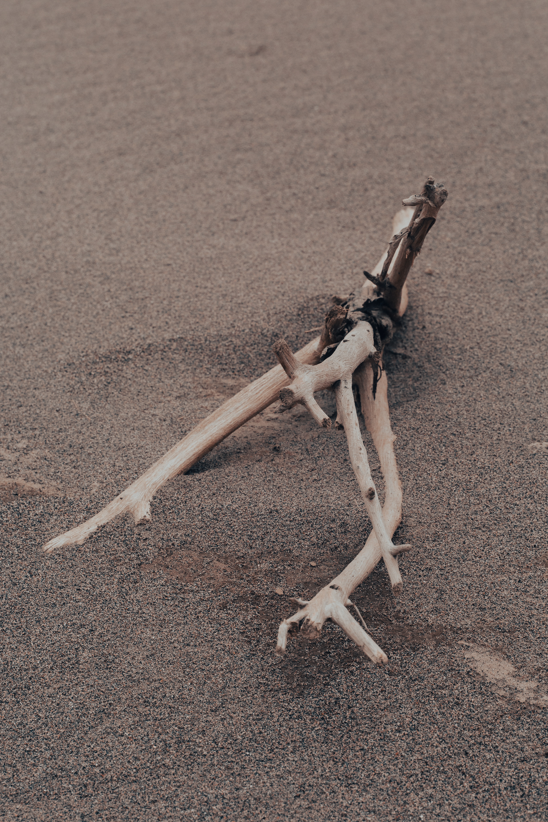 Marañón River, 2023