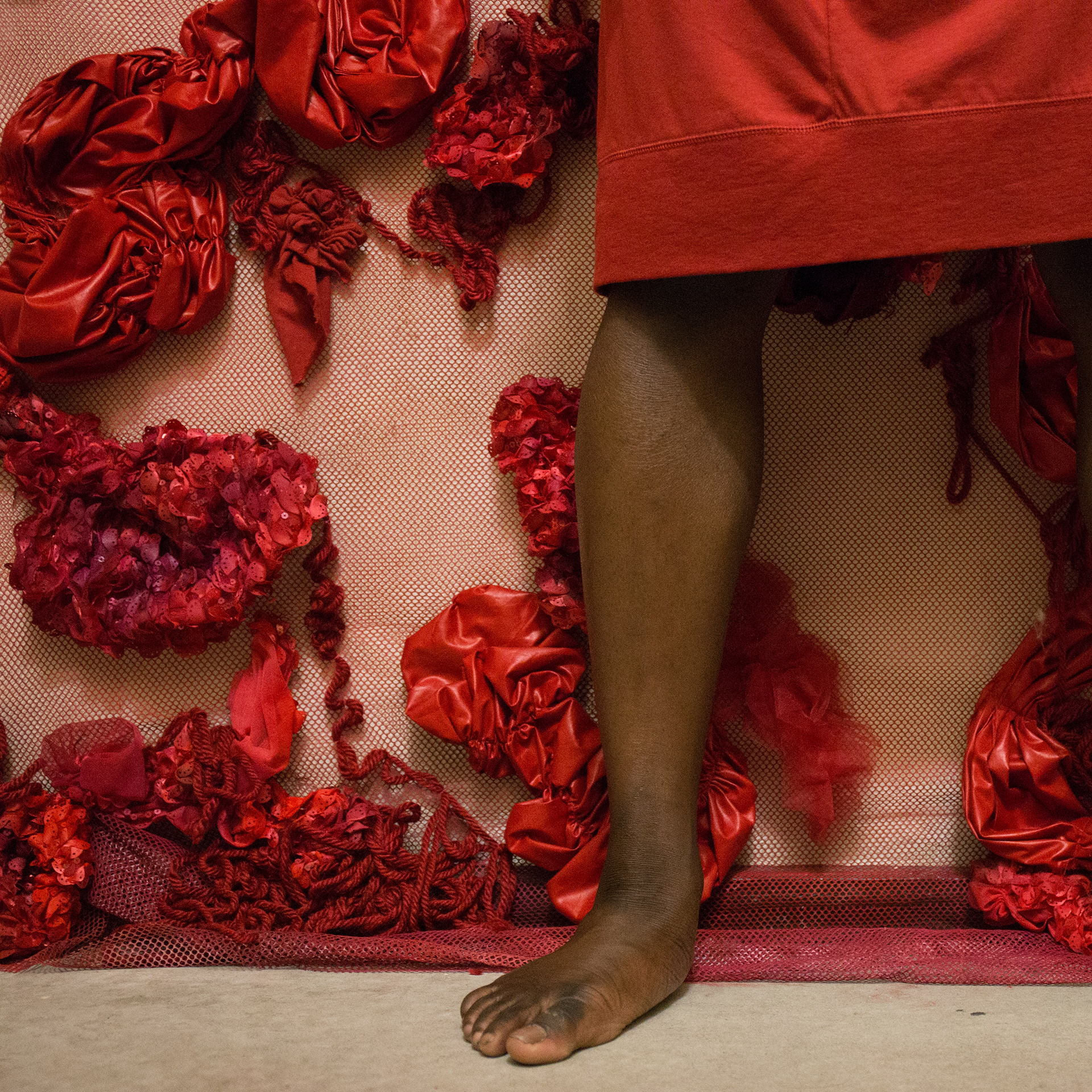 A Limb / Red: Tyler Cofield