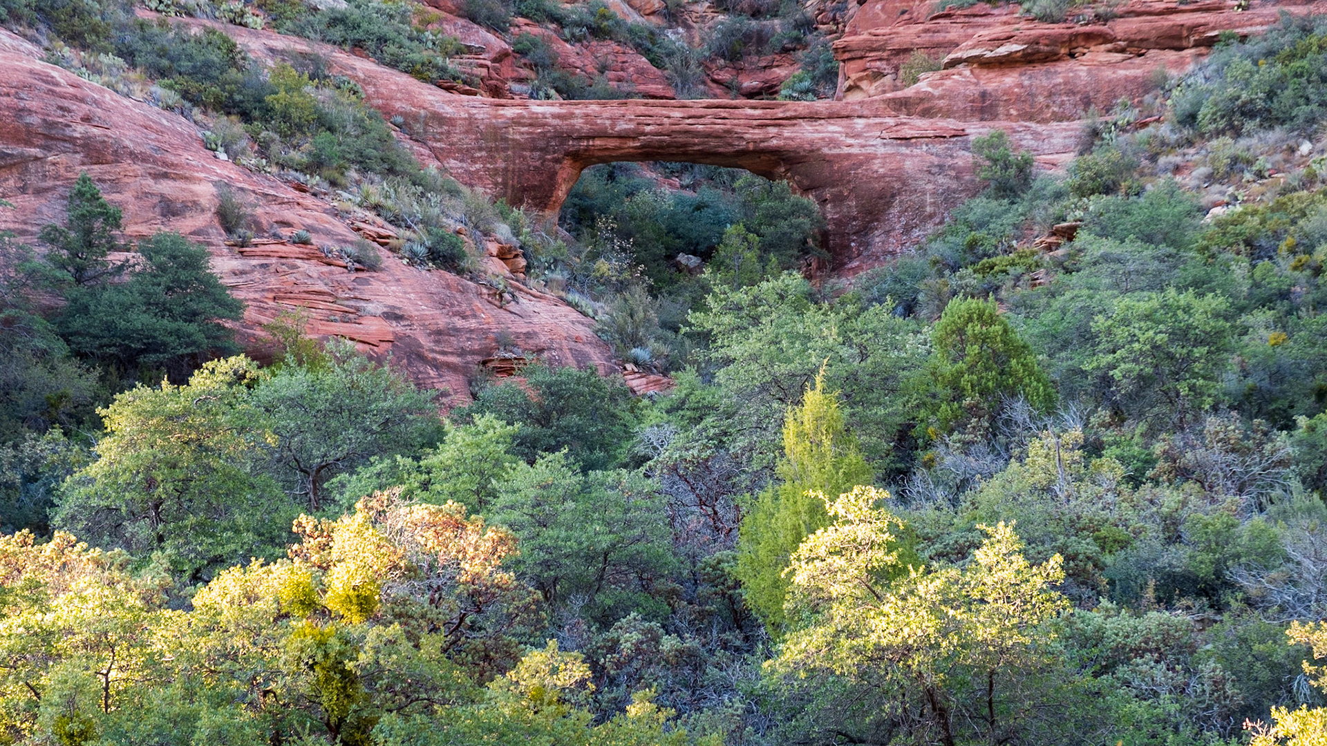 Vultee Arch Trail