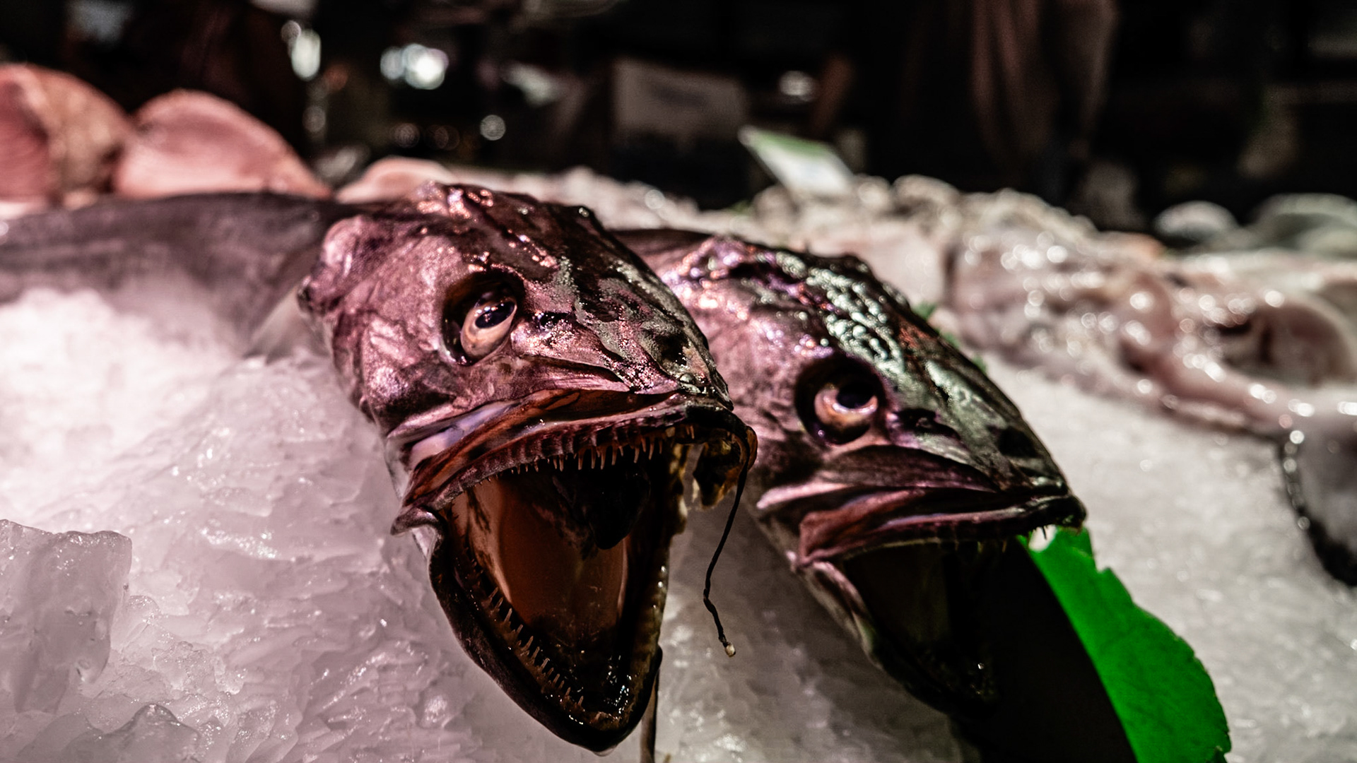 Officially known as Mercat de San Josep, the market is the place to buy local produce like vegetables, meat, fruit and eggs. Unfortunately it has become a magnet for tourists and has lost its charm as a local "farmer's market".