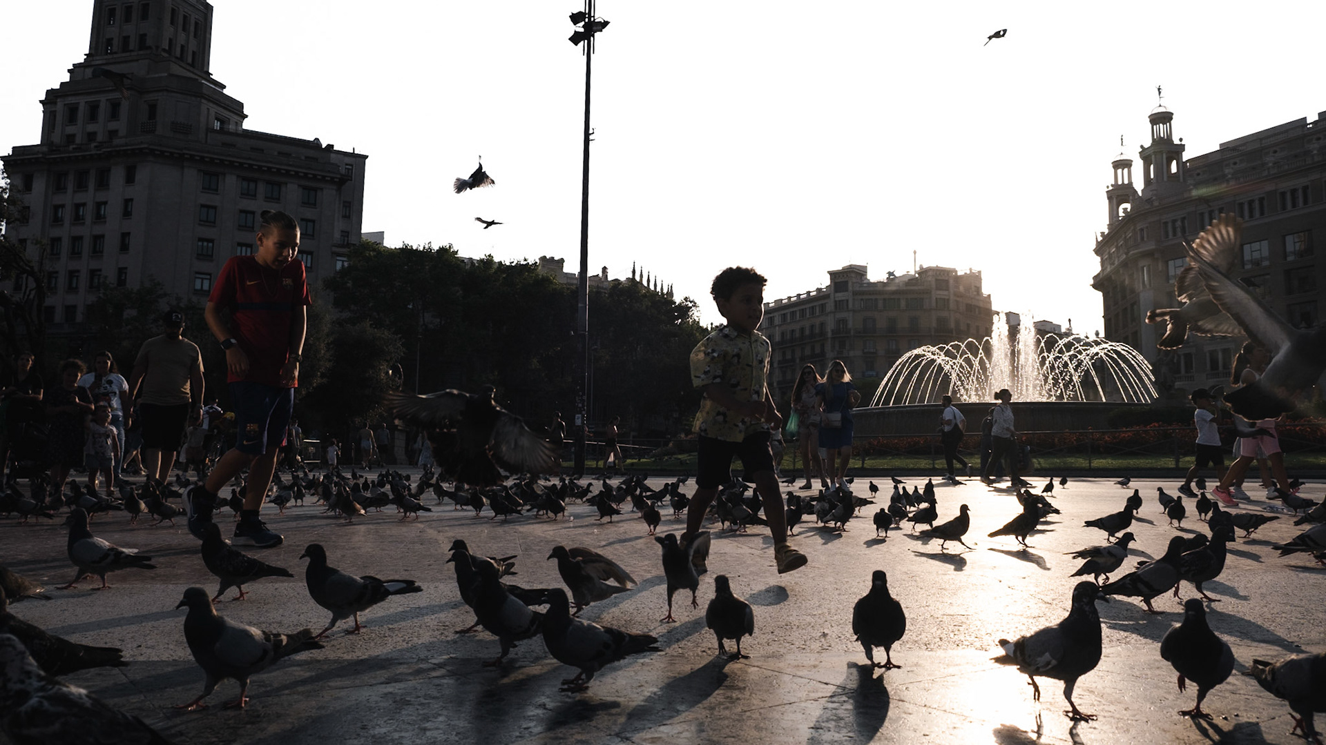There is a massive pigeon population in the square unafraid of tourists who feed them with bird seeds purchased from local vendors for a couple of euros