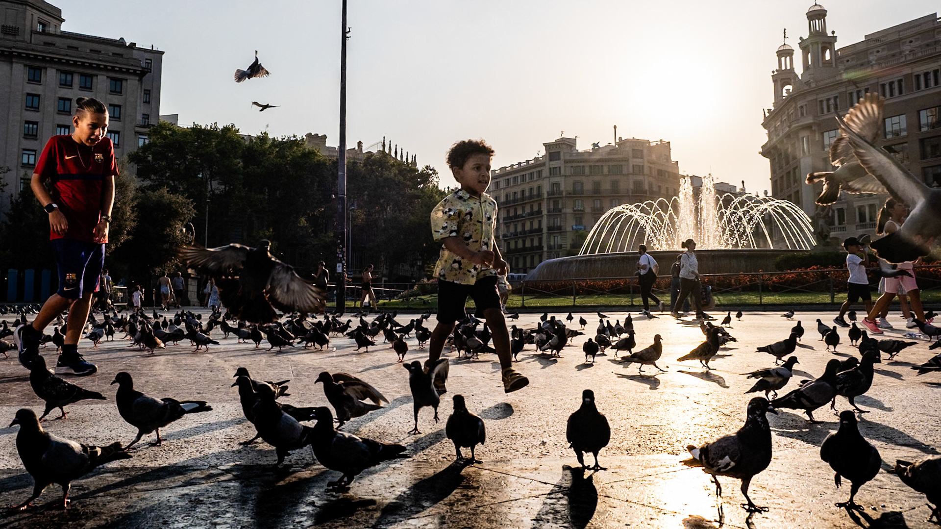 There is a massive pigeon population in the square unafraid of tourists who feed them with bird seeds purchased from local vendors for a couple of euros
