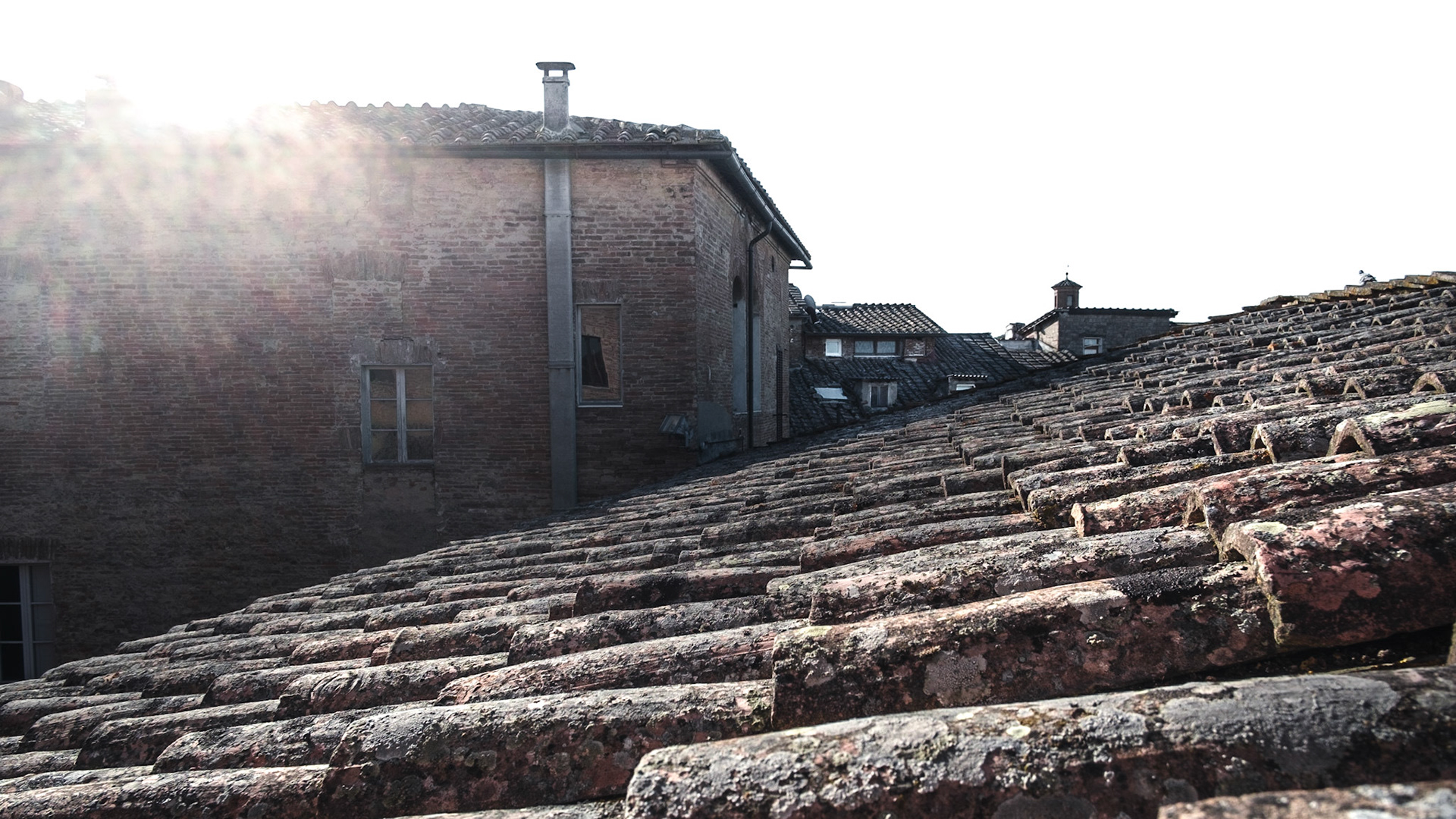 Siena