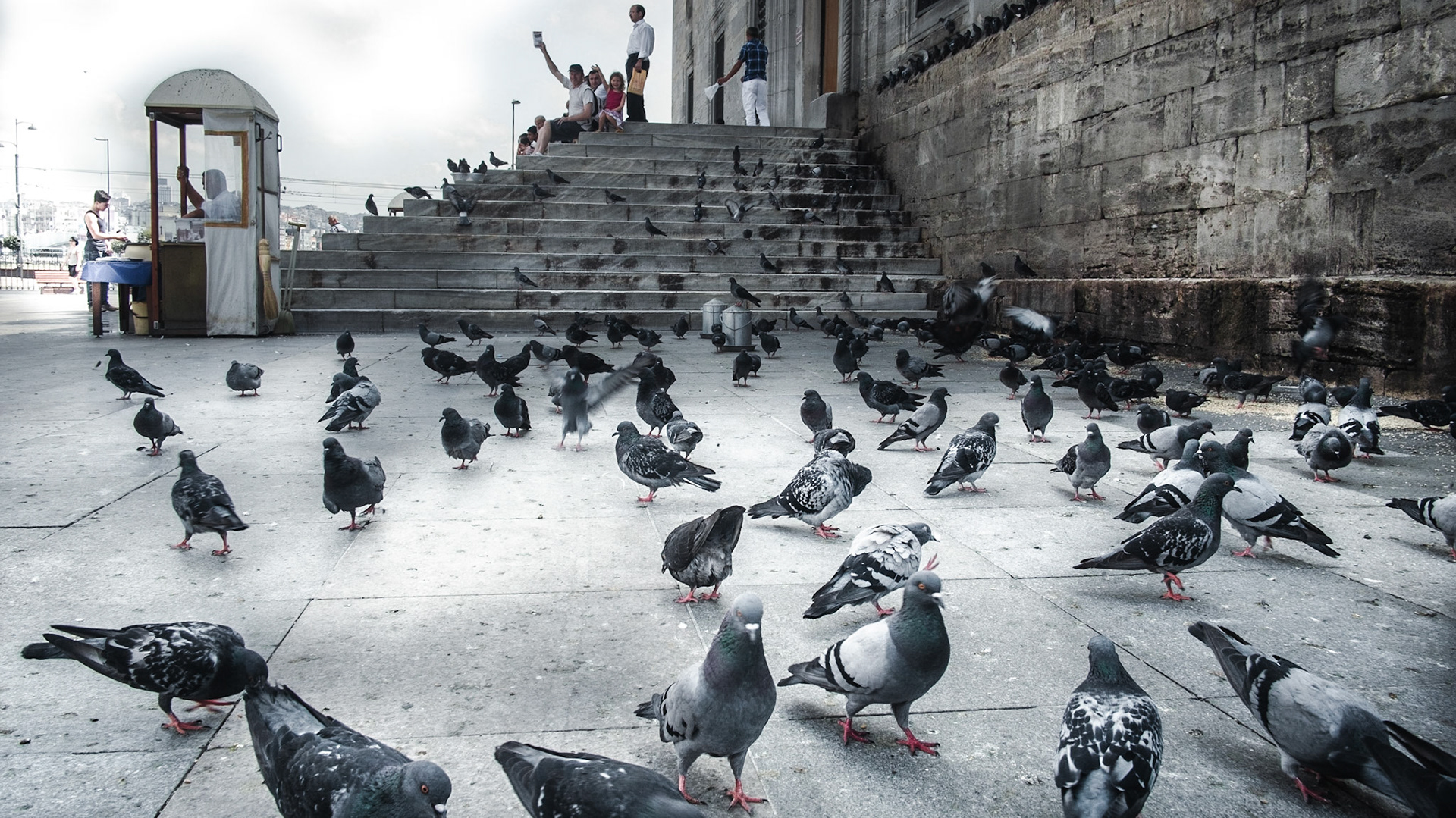 A traditional bird feeding place around the mosque.