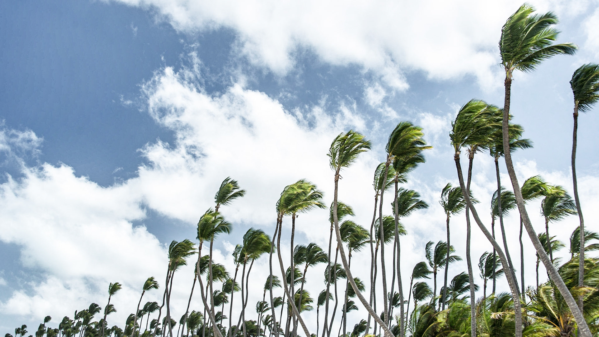 Punta Cana, Dominican Republic