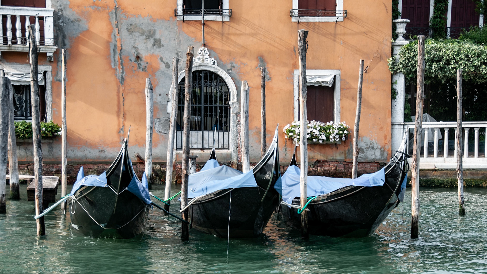 Three gondolas moored to poles on Canal Grande in Venice