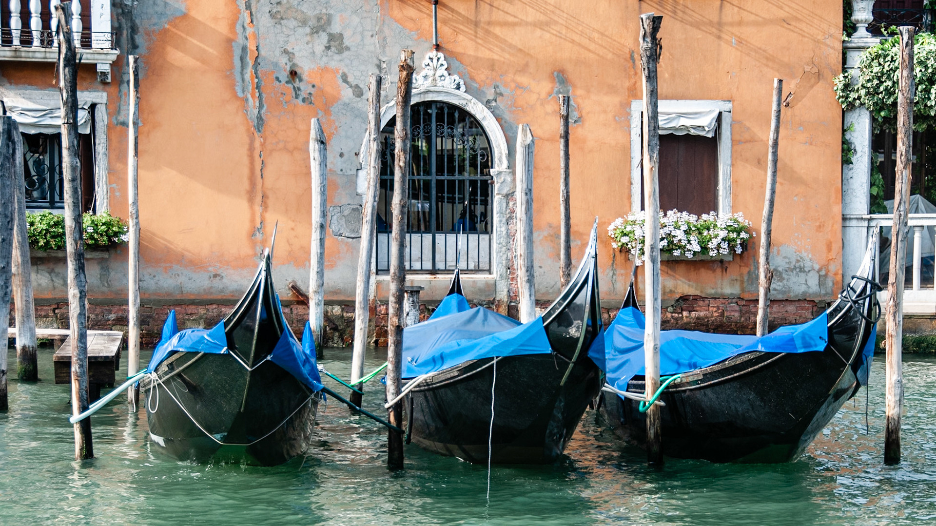 Three gondolas moored to poles on Canal Grande in Venice