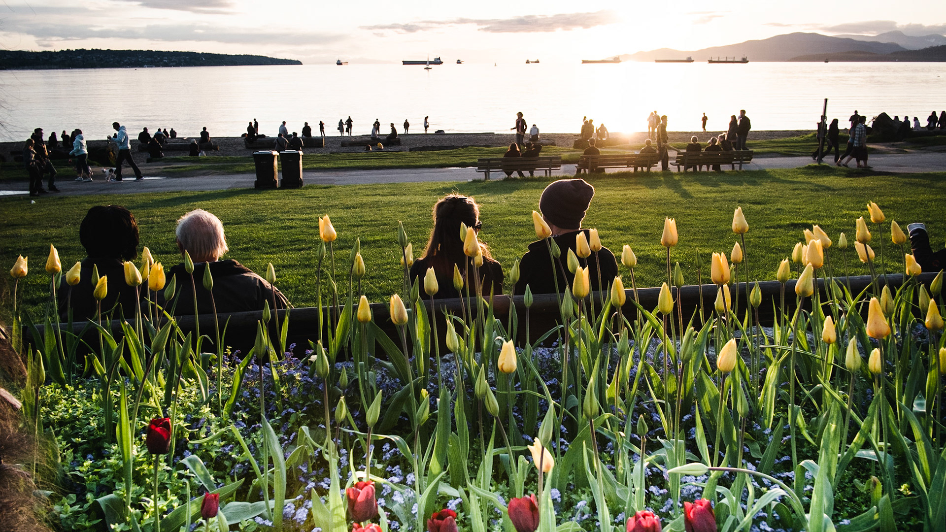 English Bay Beach in Vancouver, Canada