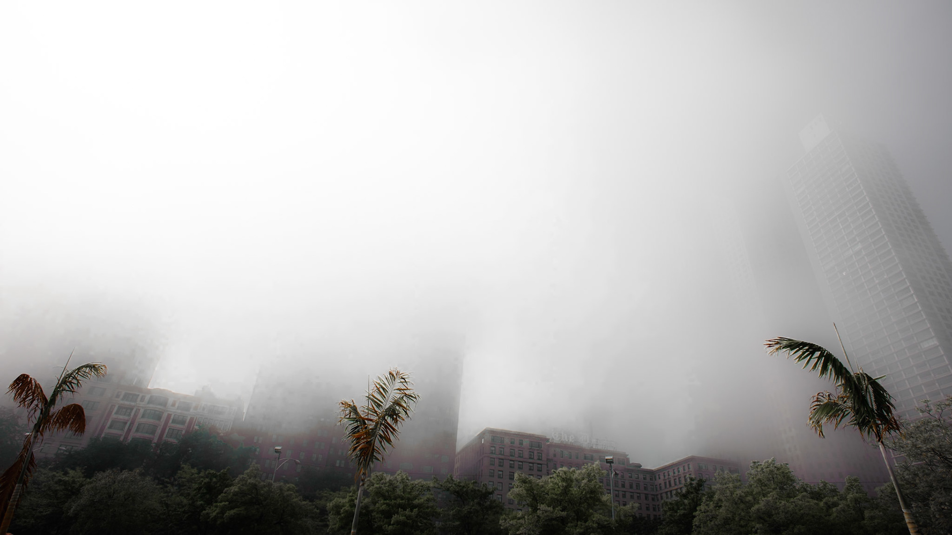A thick September fog descends on the Lake Shore Drive near Oak Street Beach in Chicago