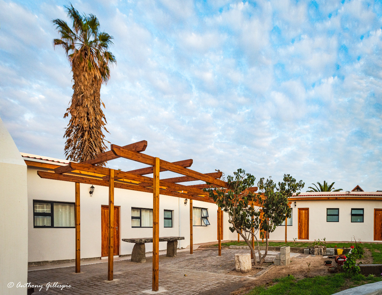 A view of a very old Palm Tree behind the outside rooms of Beach garden Accomodation.