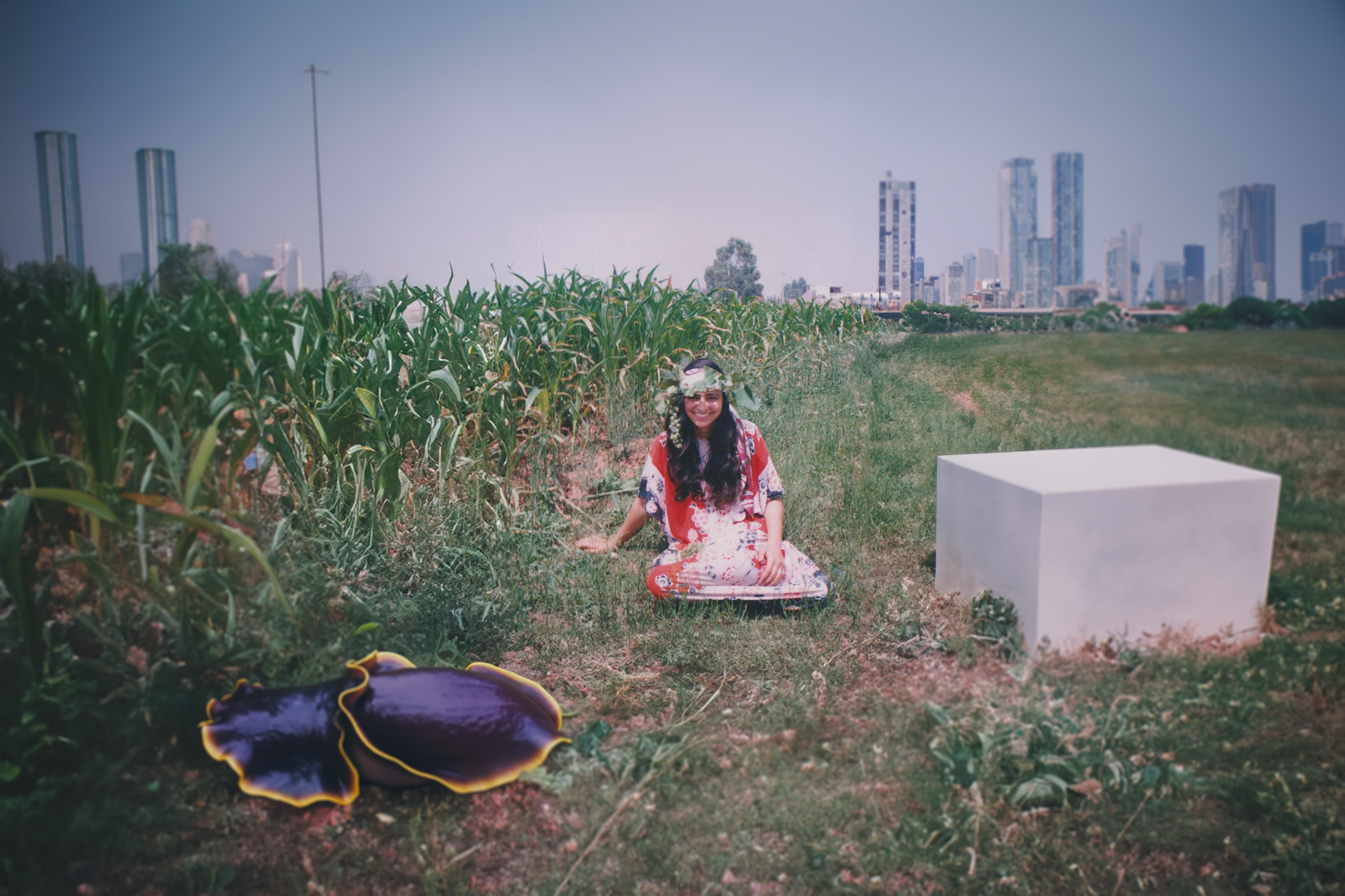 Planting the Past - 2024