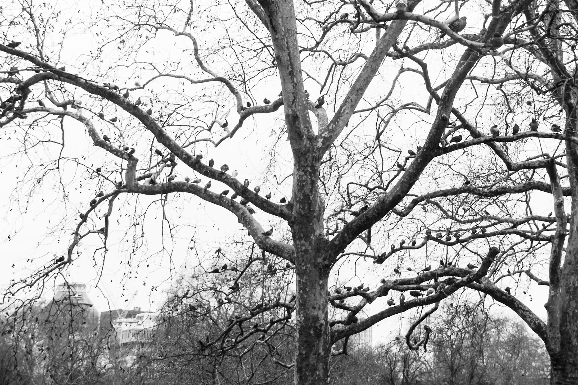 Londres - 2011