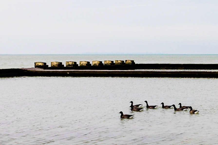 février