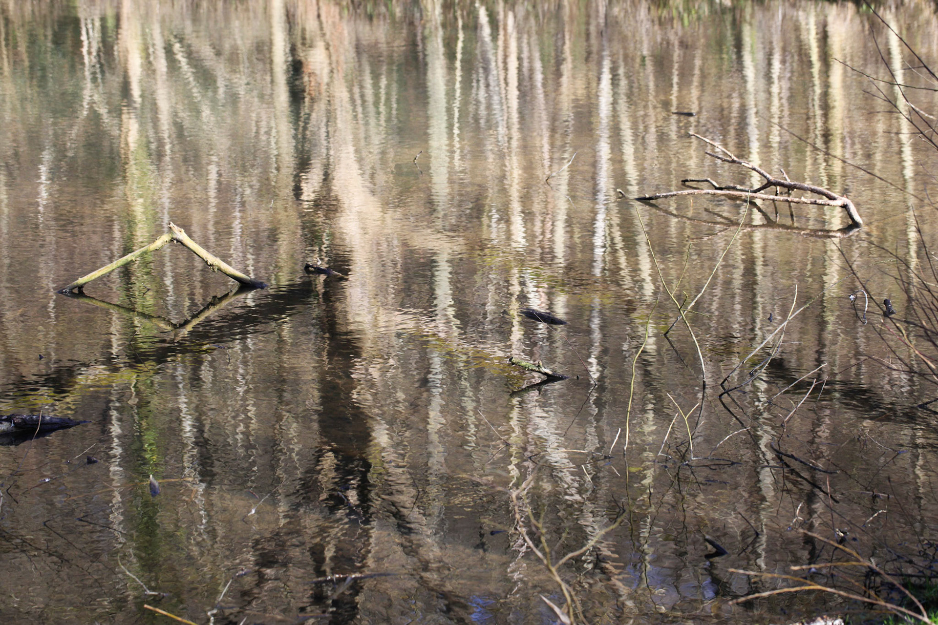 France, Vallée de Chevreuse - 2014