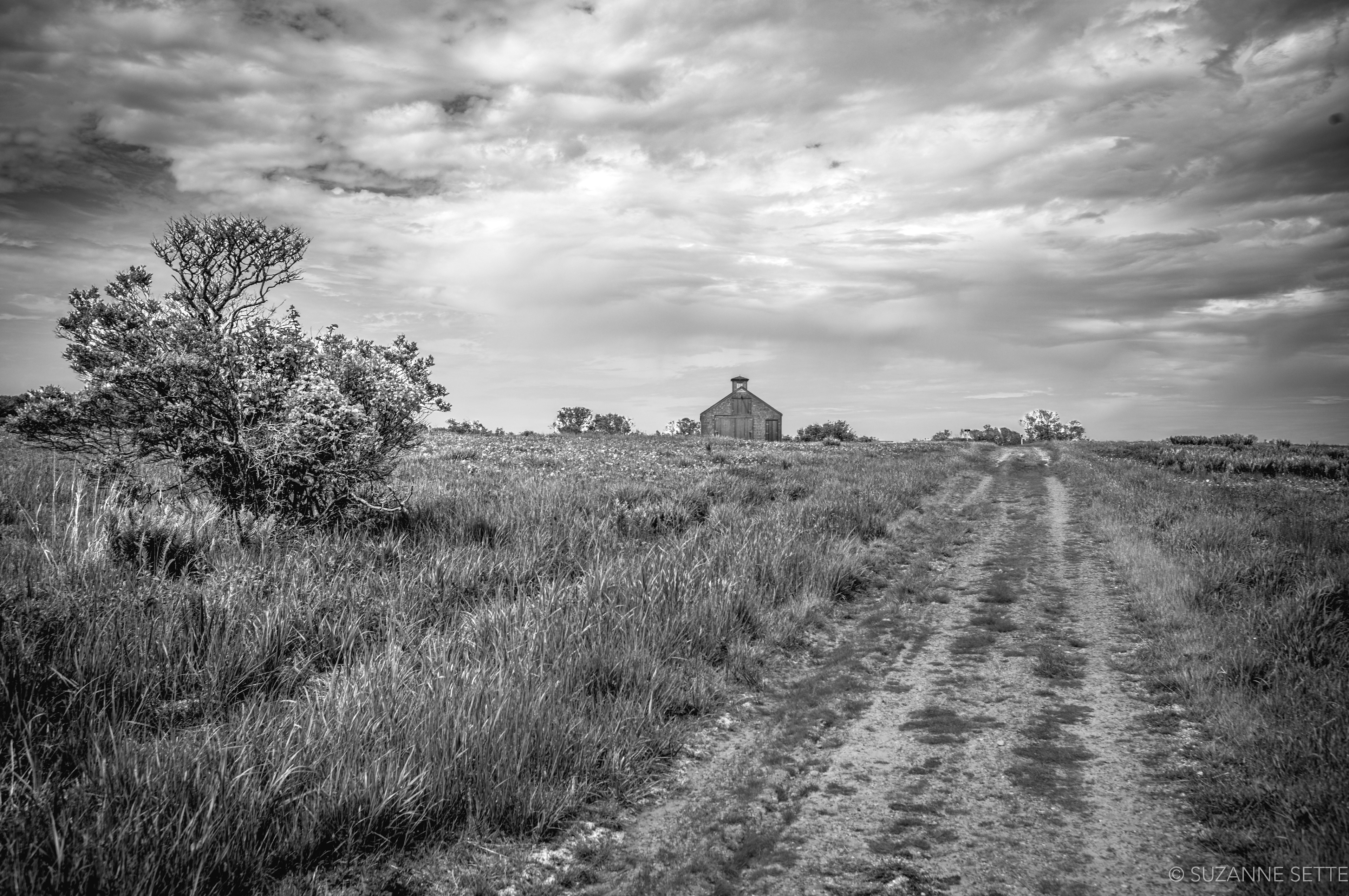 Sanford Farm, Nantucket