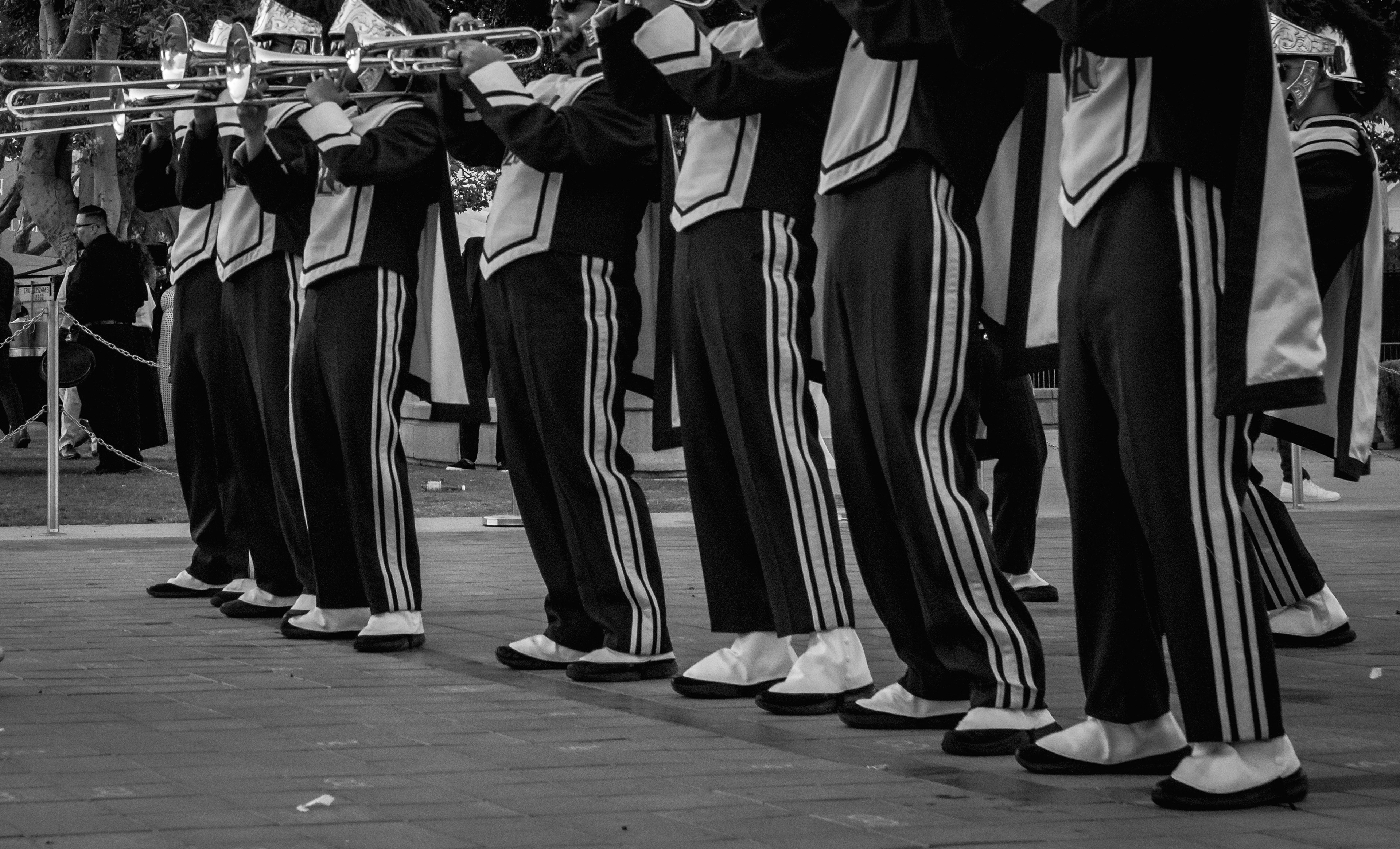 Trojans in Spats