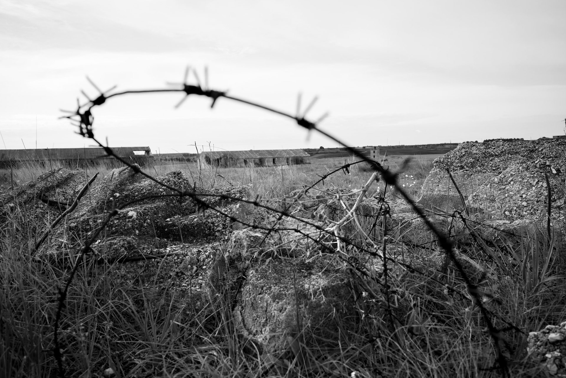 Barbed wire. Camp 65. November 21, 2024. Camp 65 was divided into six sectors, separated by barbed-wire fences about one meter high. The entire perimeter was enclosed by a double barbed-wire fence approximately two meters high.