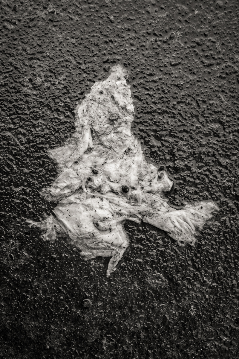 Soggy Dancing Ghost