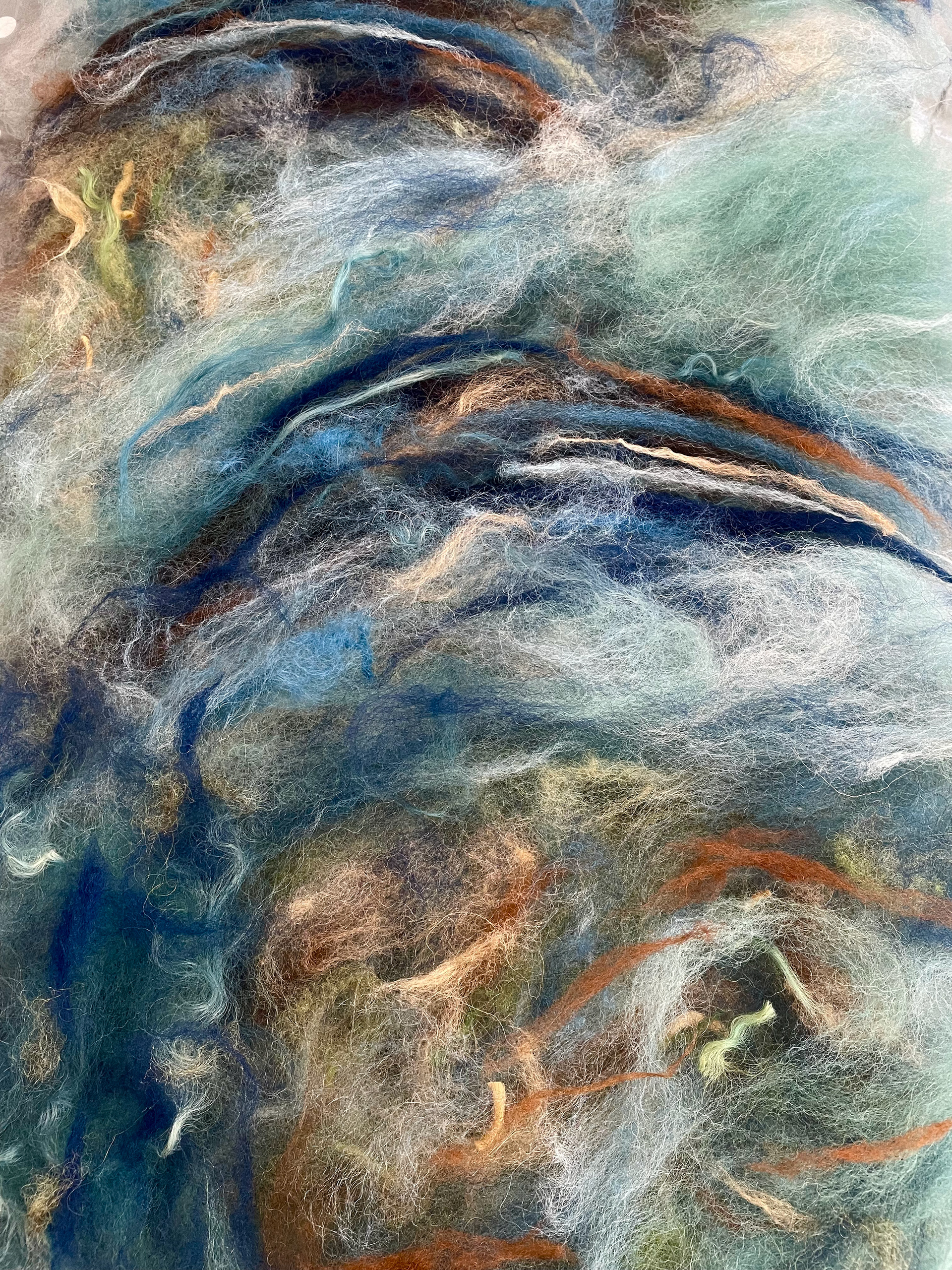 Wool placed referring to my painting