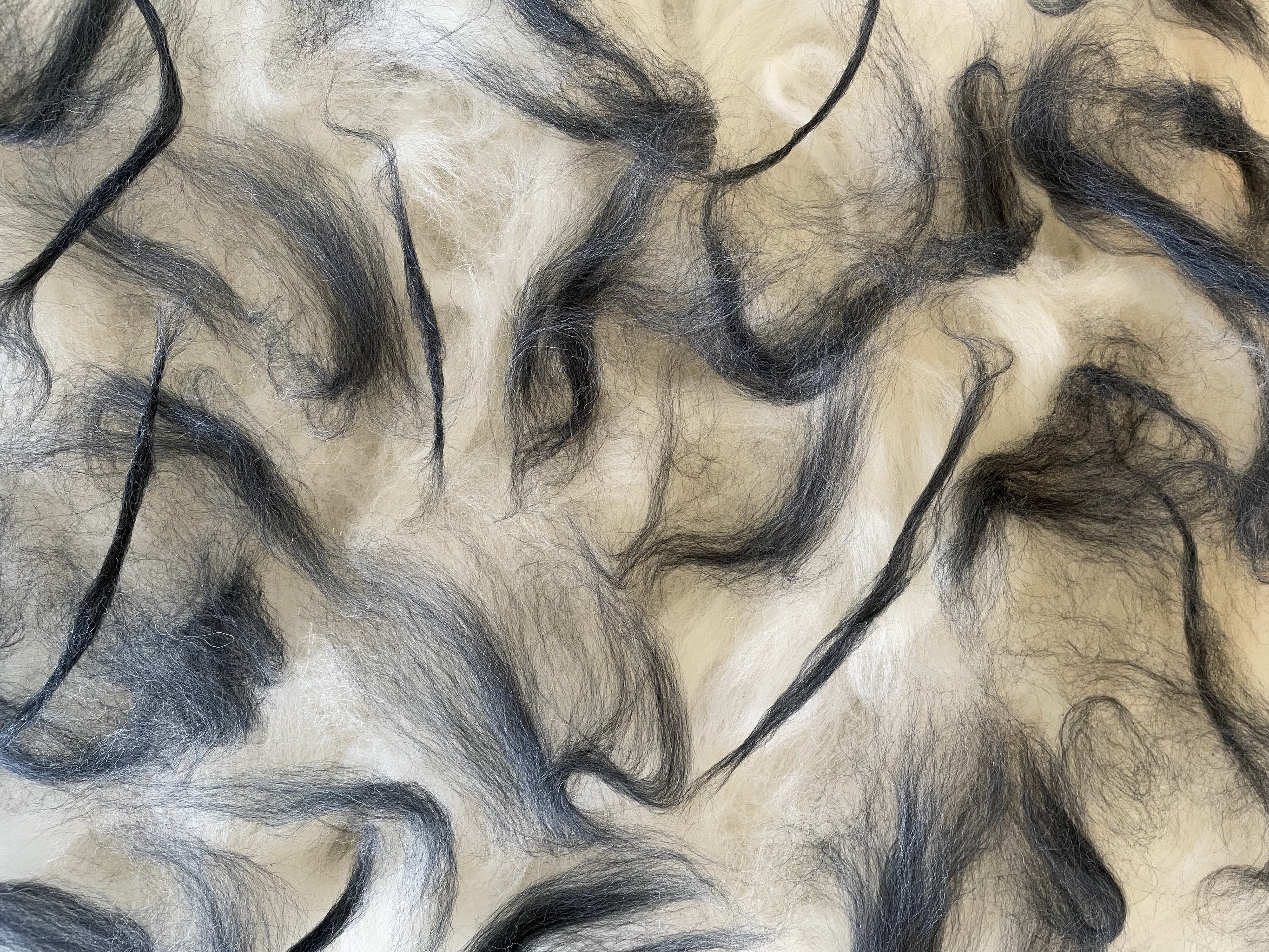 Wool laid out ready to be wet felted
