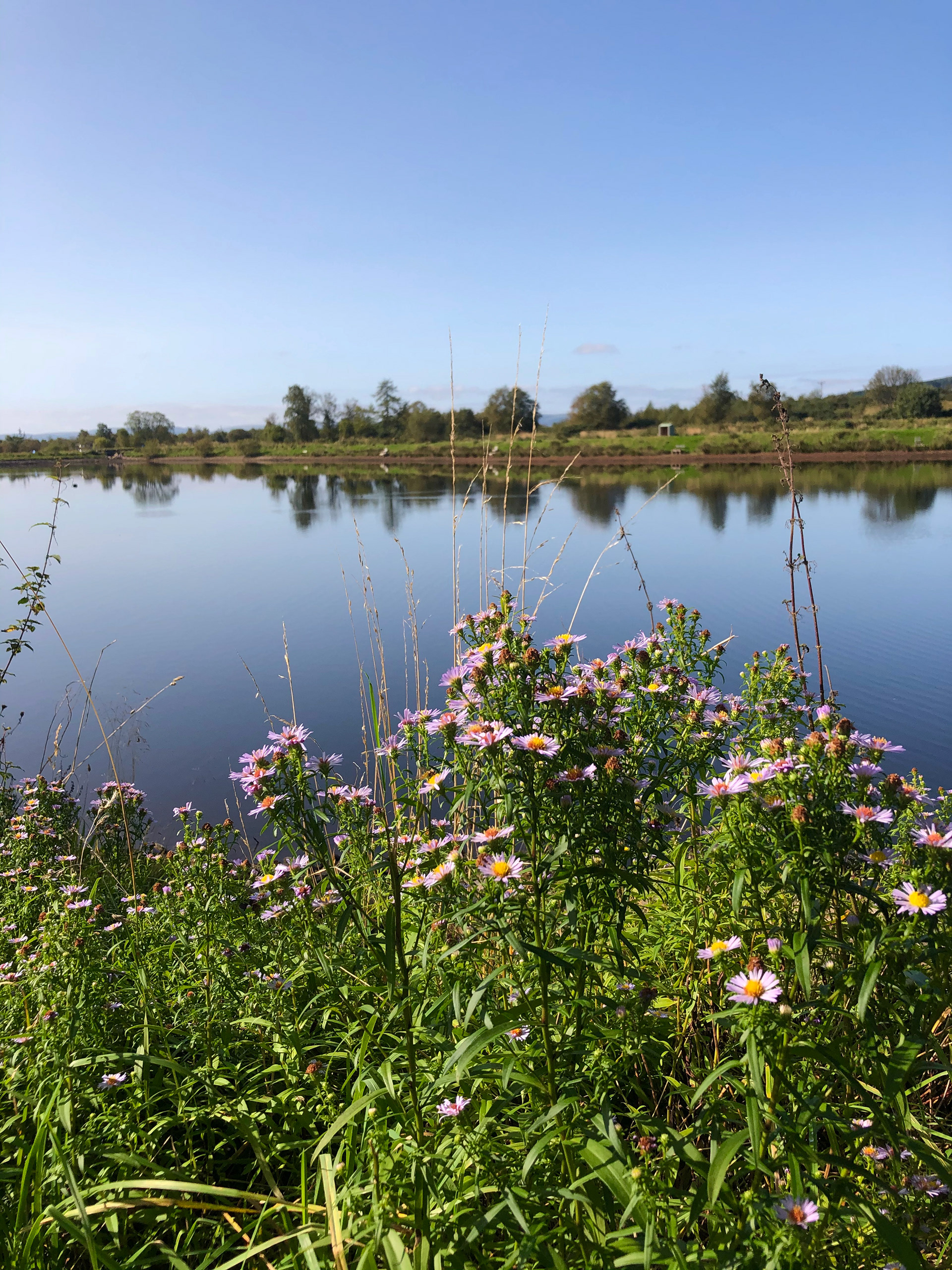 Reservoir, Helensburgh