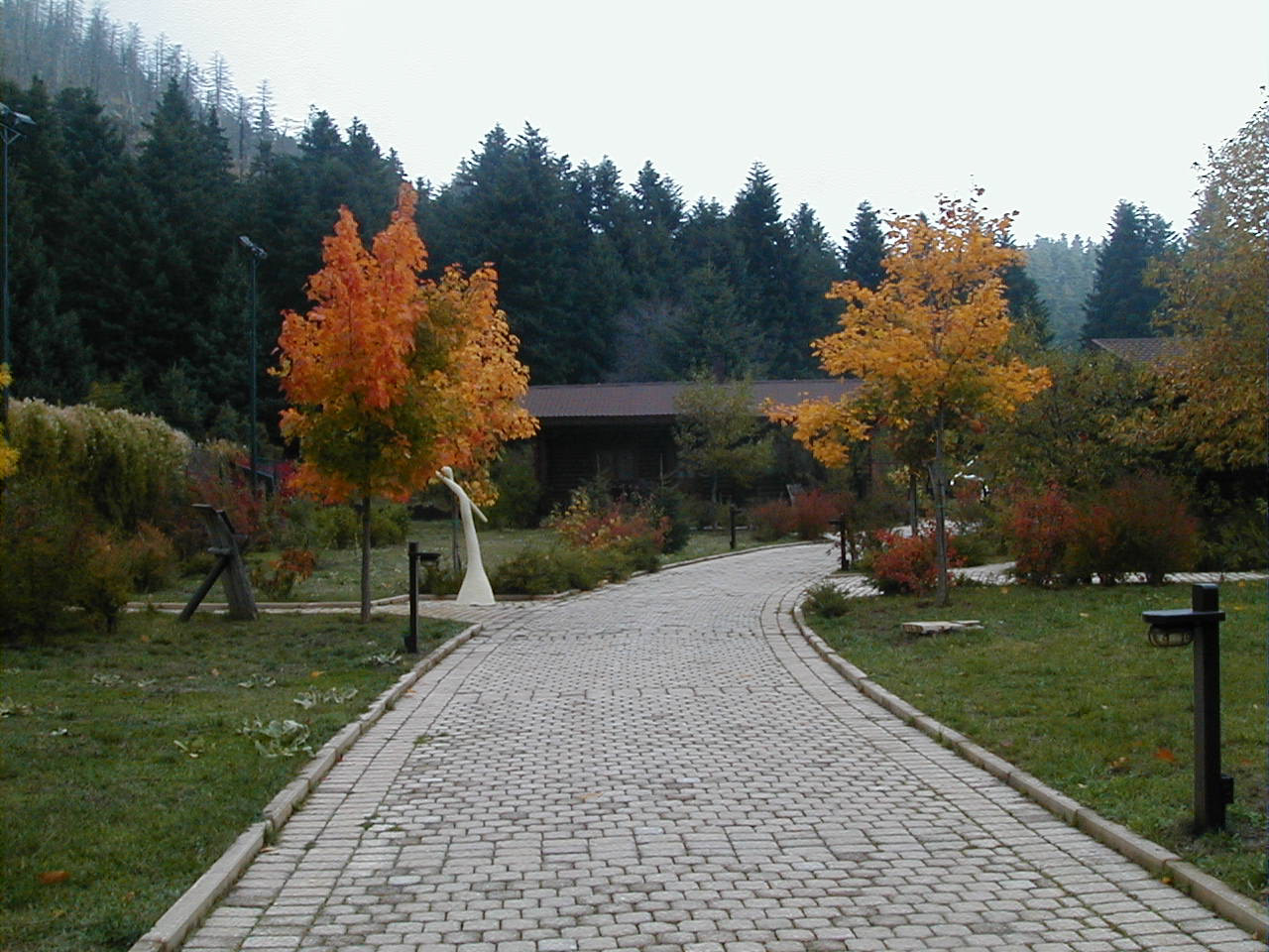 main acces road conecting the residences