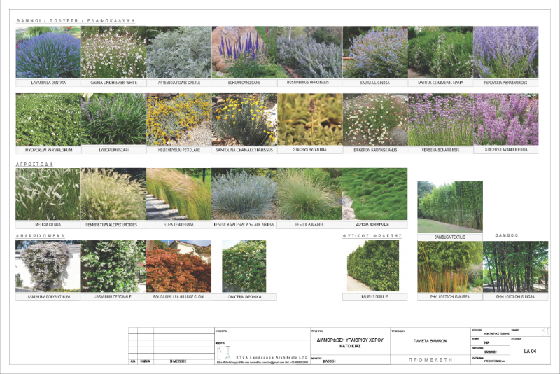 PLANT PALETTE