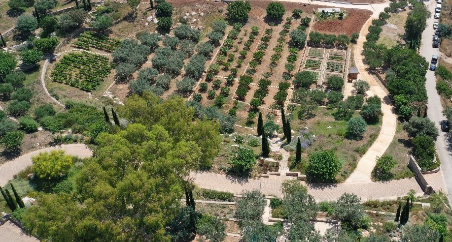 orchards-olive trees-vegetable garden-vine yards