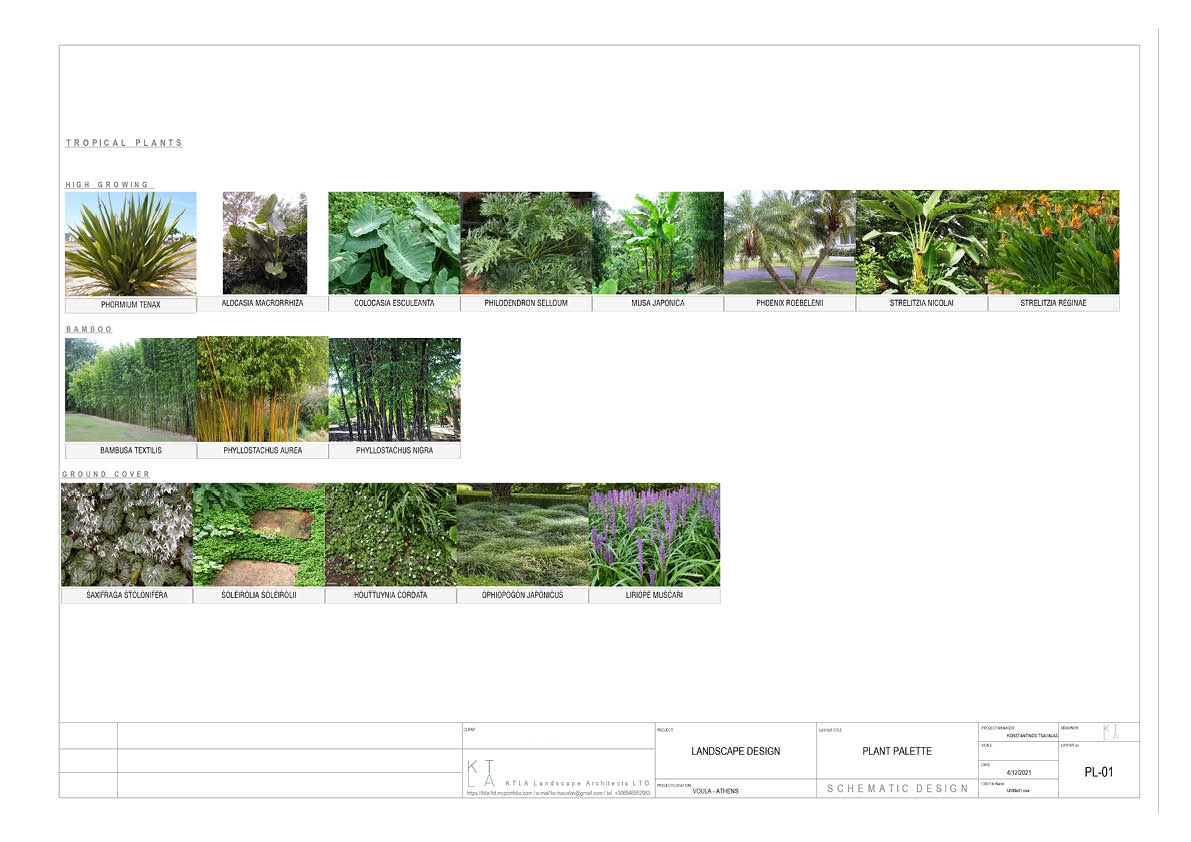PLANT PALETTE