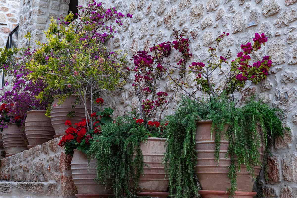 pots