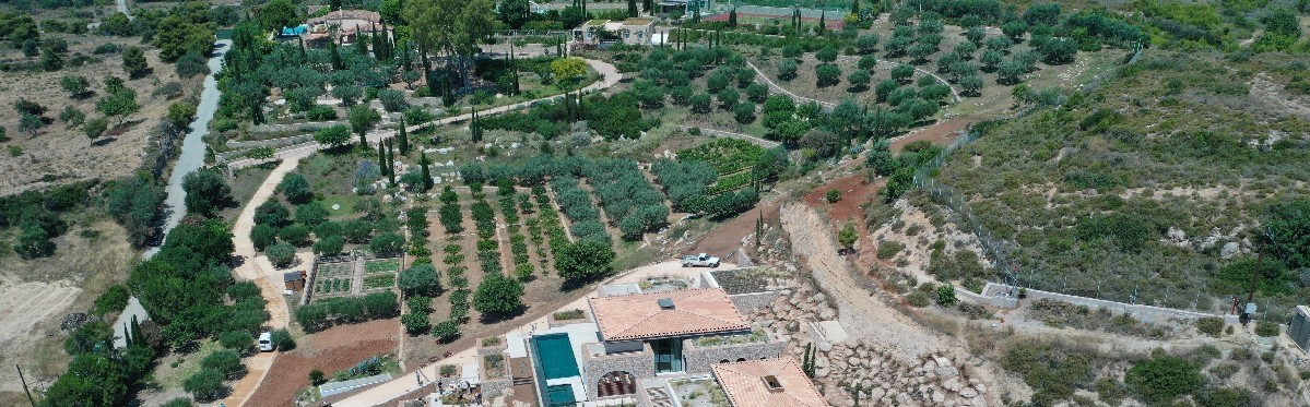 30acres-olive-trees-access-roads-planting-palette-ktla-landscape