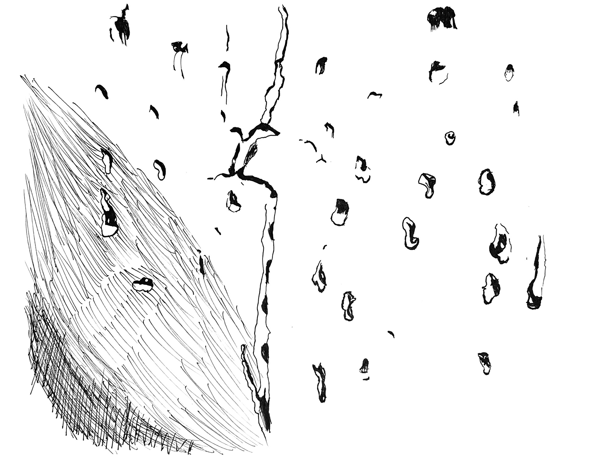 Draw Every Day 30 Min