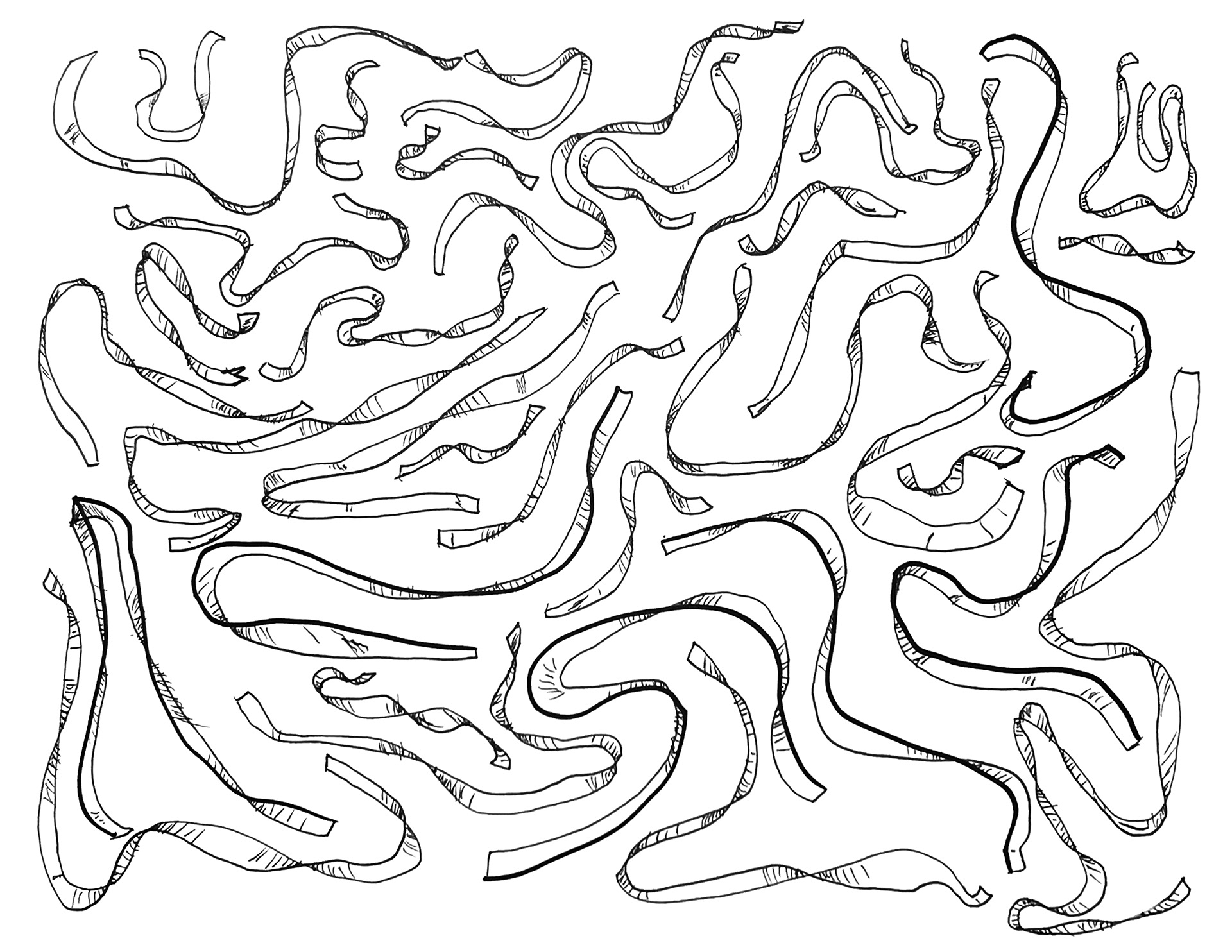 Draw Every Day 30 Min