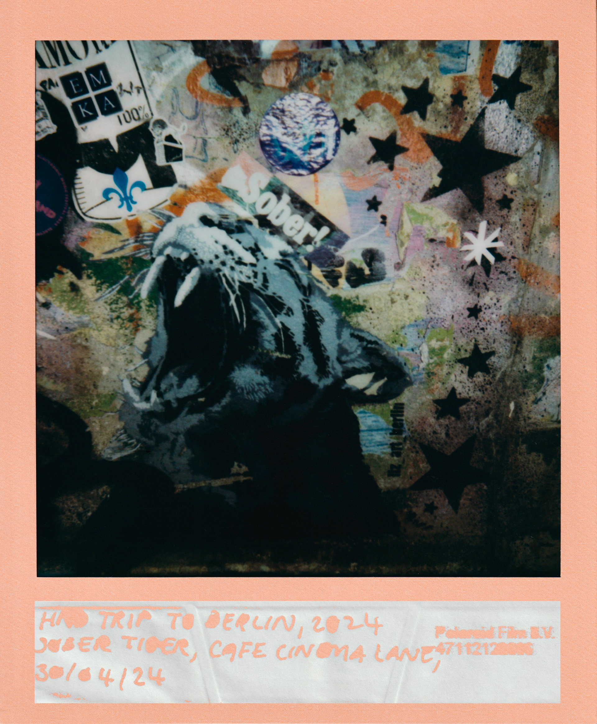 Sober Tiger | Berlin, April 2024