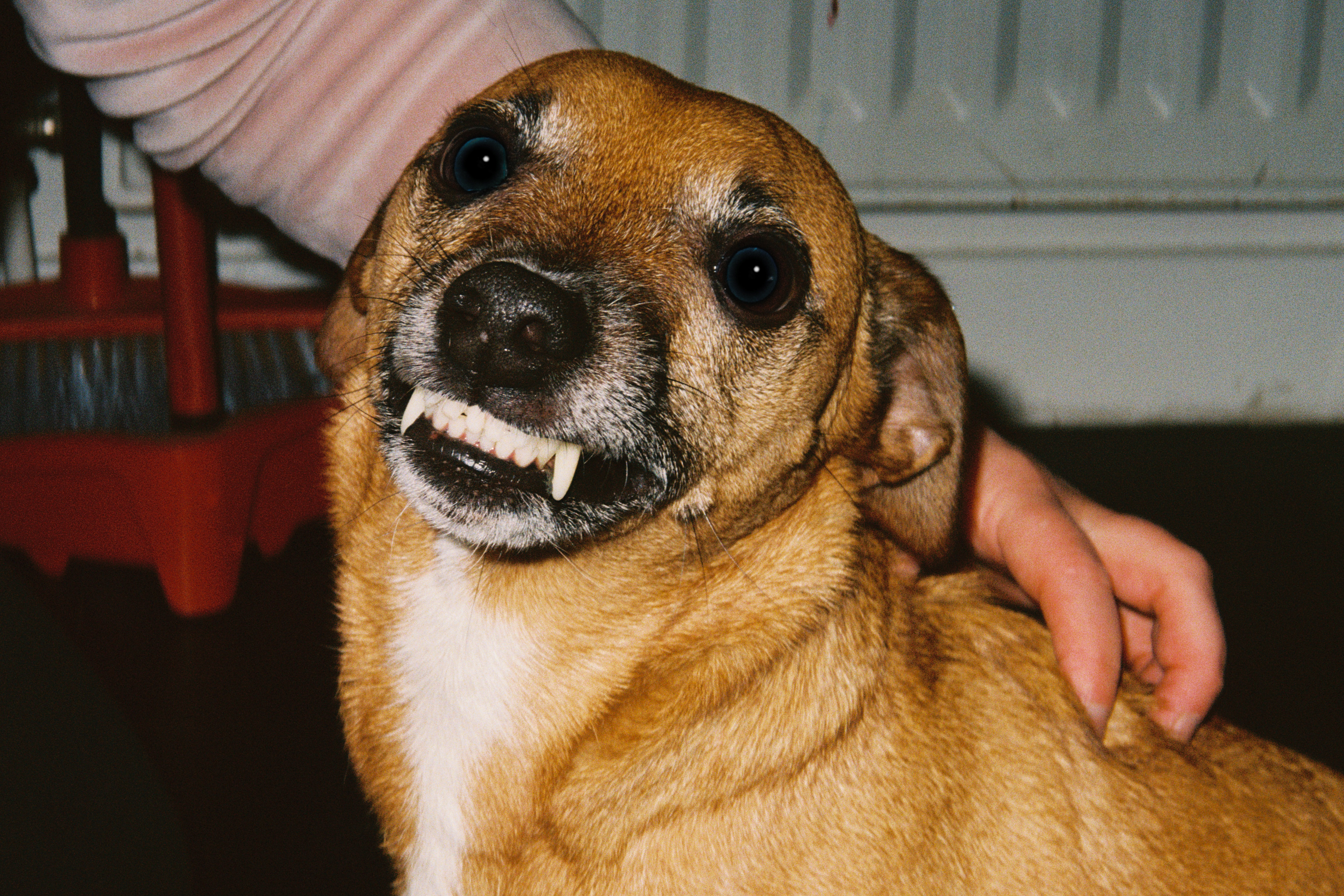 Big Smiles | December 2023