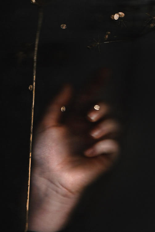 Silent Thoughts | 1