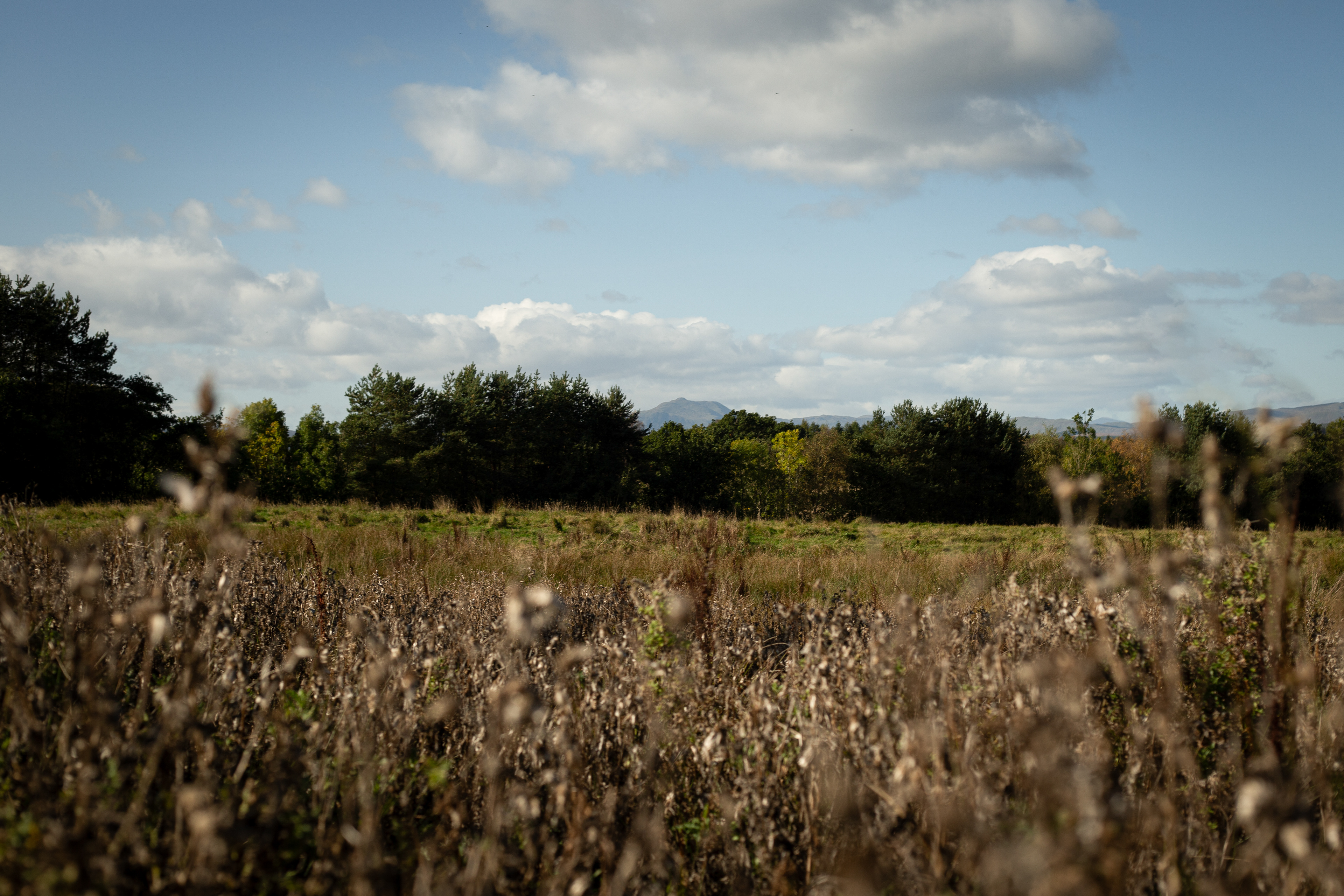 Braes of Doune | October 2023