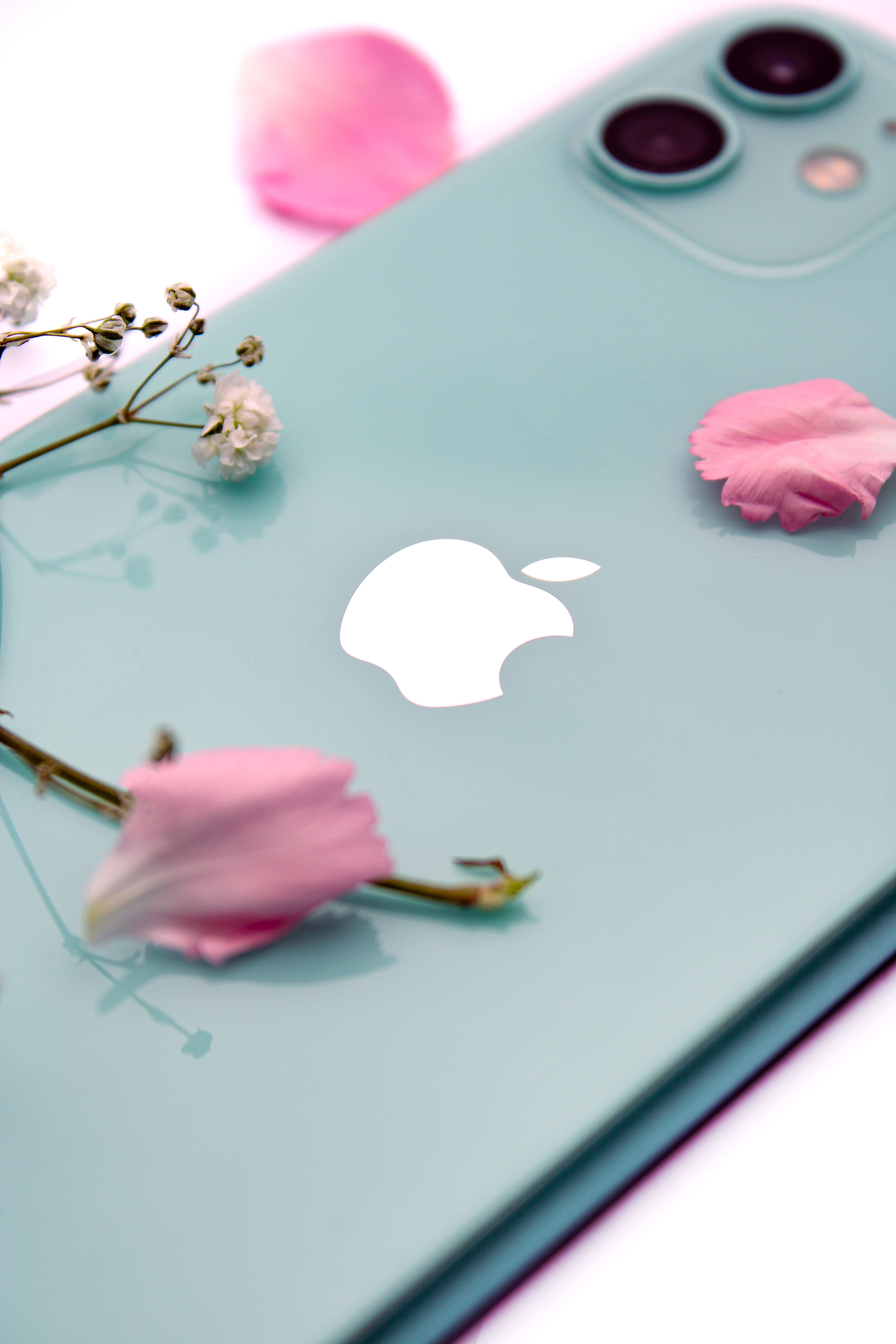 Self-directed Unit: Product Brief - May 2022