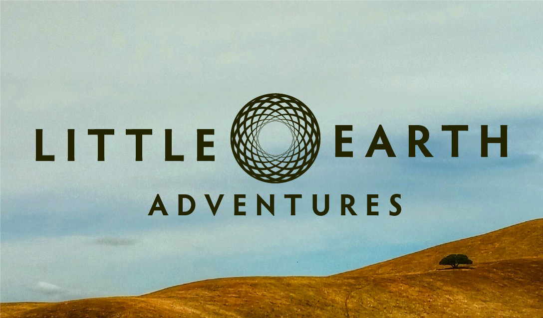 Little Earth Logo & Business Card Nature Series