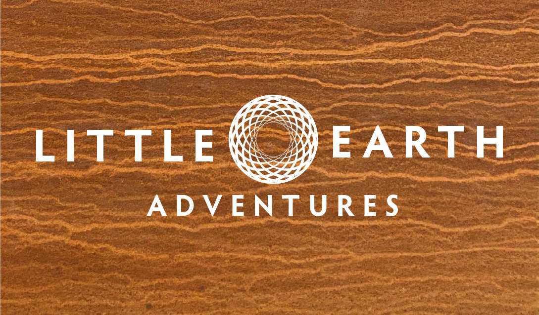 Little Earth Logo & Business Card Nature Series