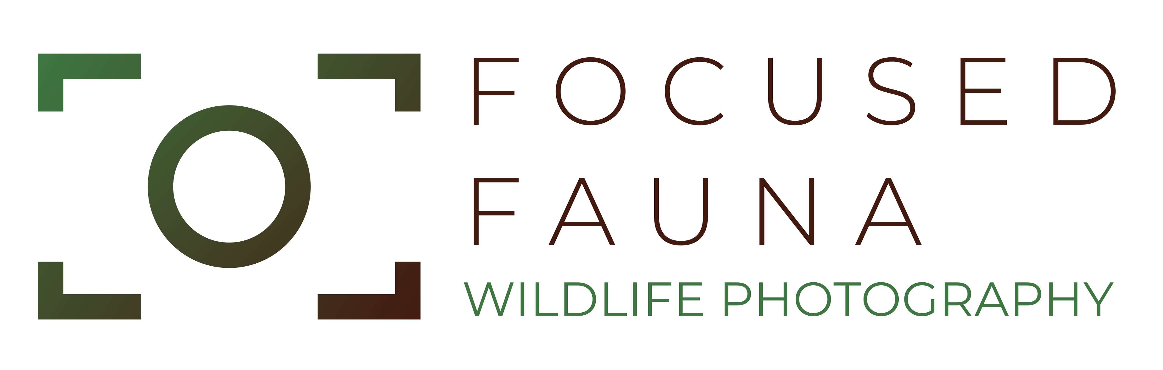 focused fauna wildlife photography